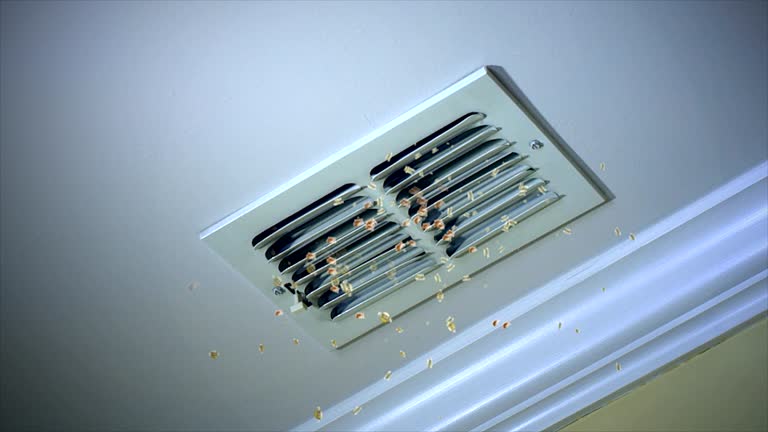 Best HVAC Duct Inspection Services  in Kemah, TX